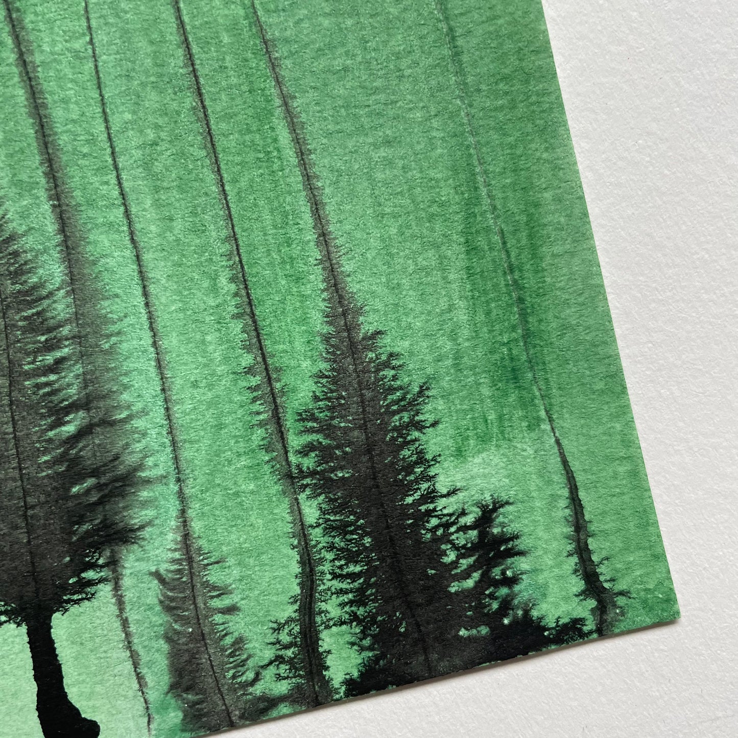 Green forest