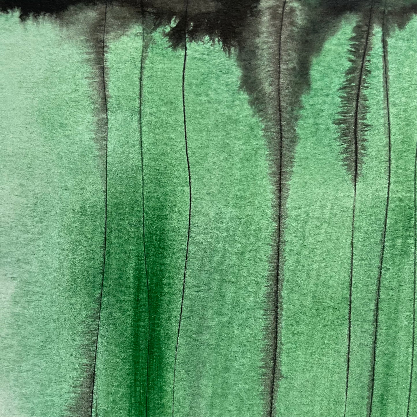 Green forest