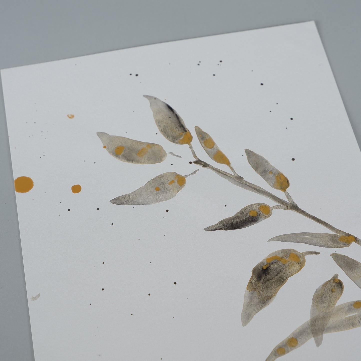 Leaves
