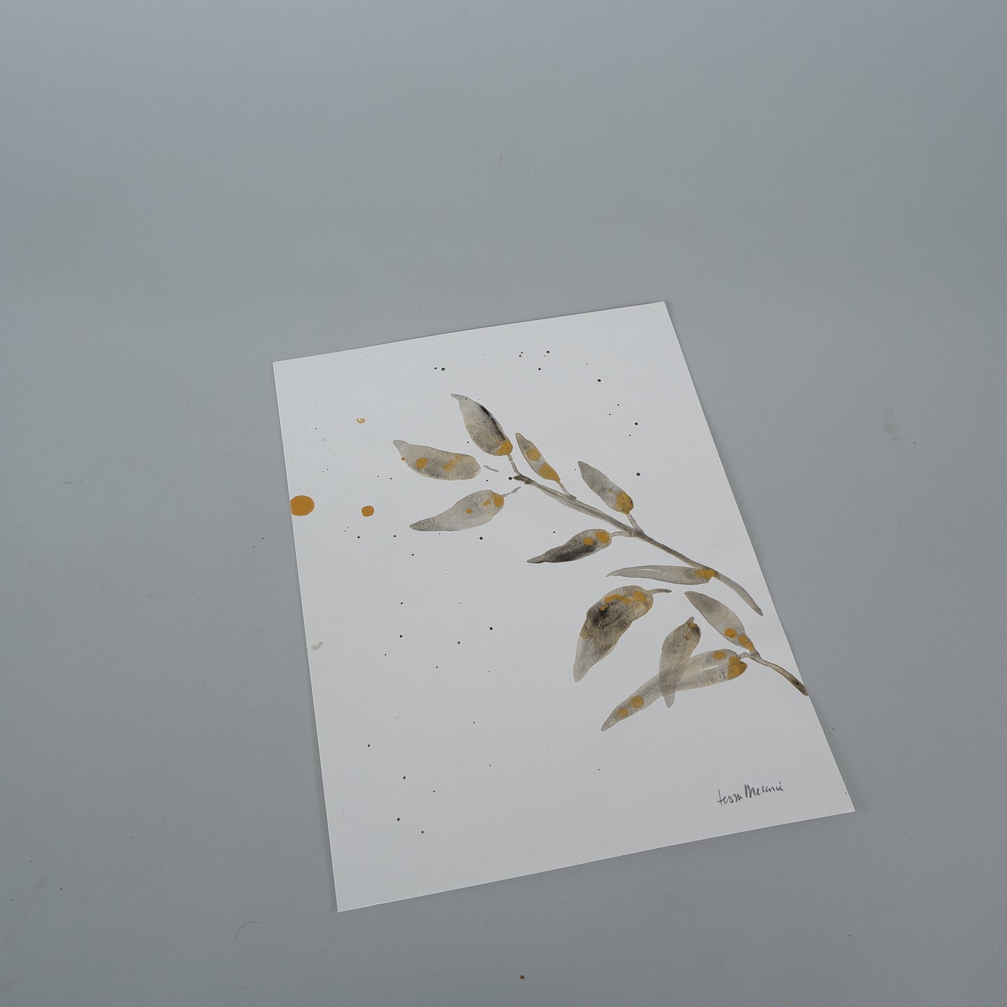 Leaves