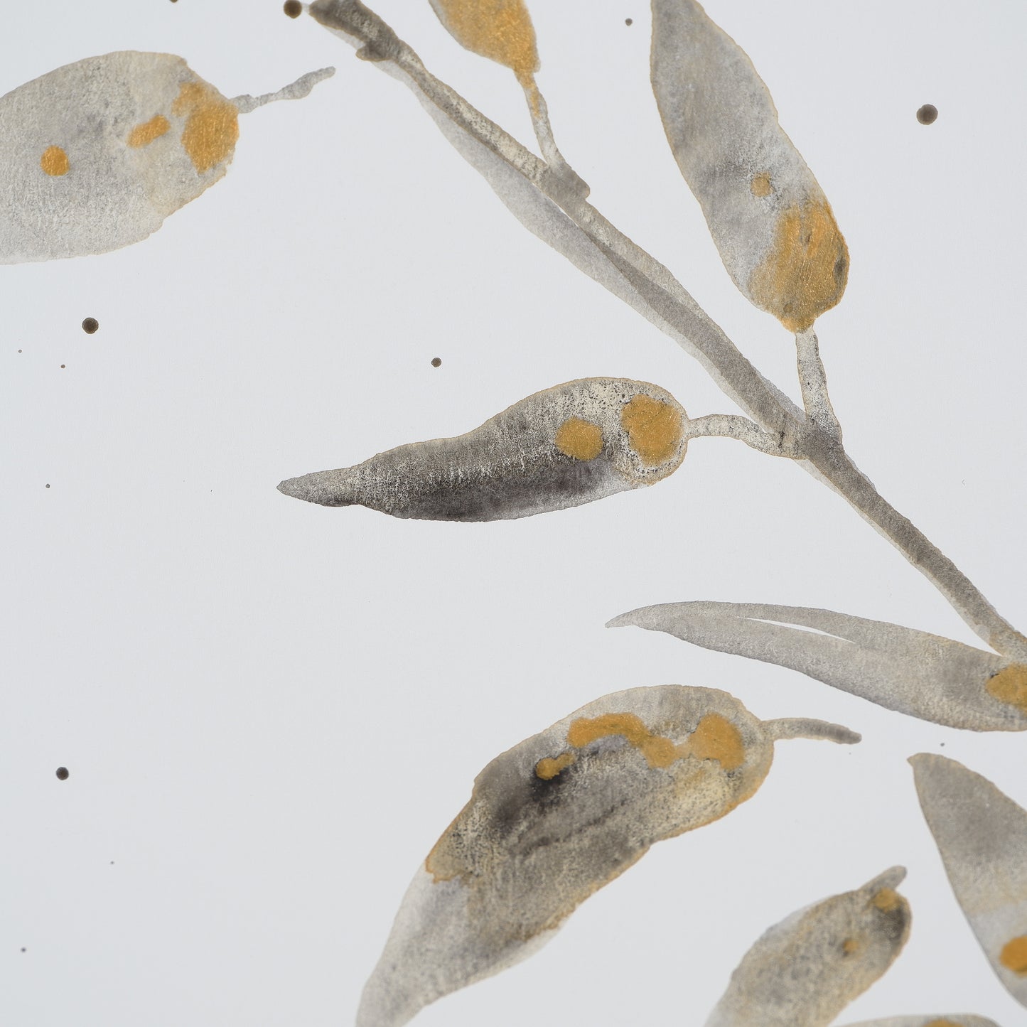 Leaves