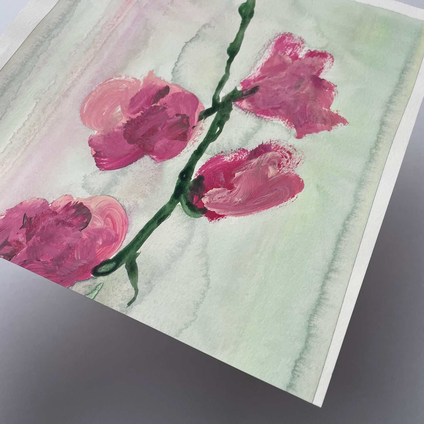 Roses