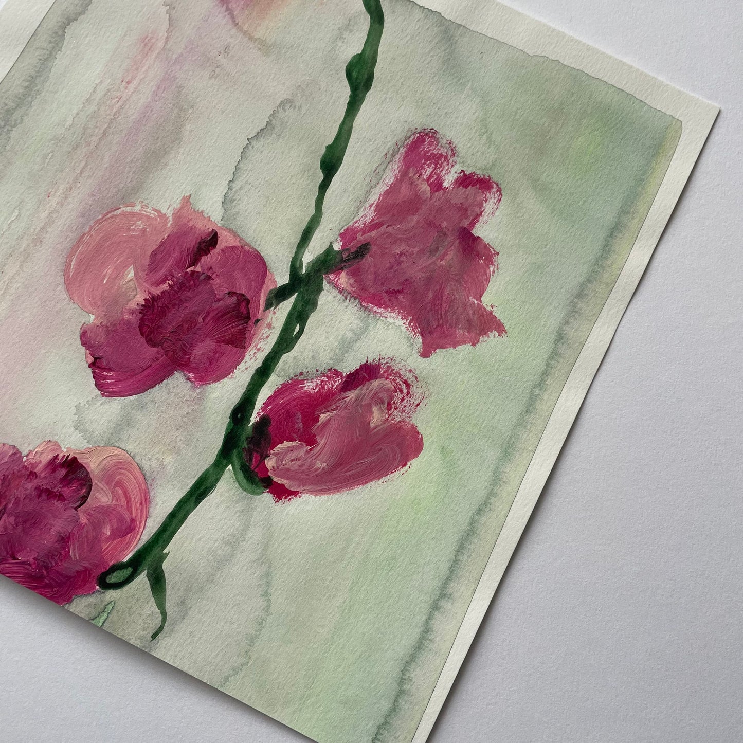 Roses