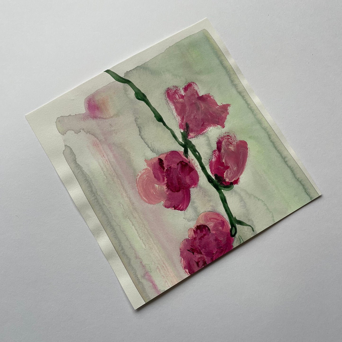 Roses