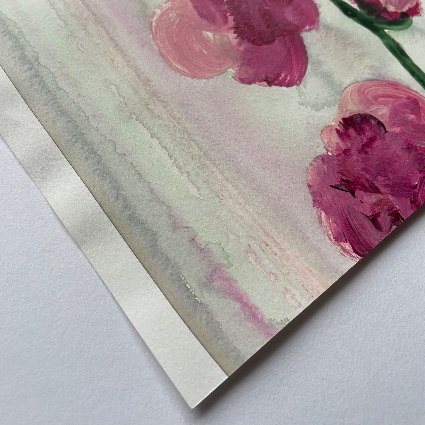 Roses