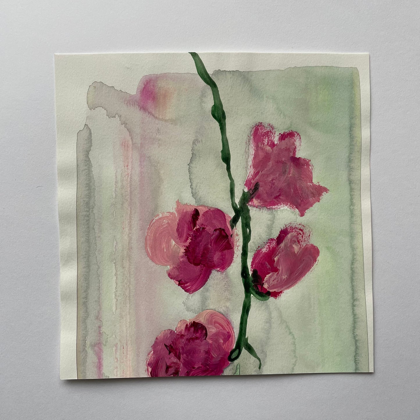 Roses
